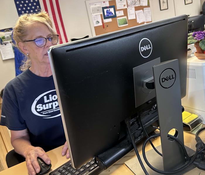 Lion Surplus employee working at a dell computer